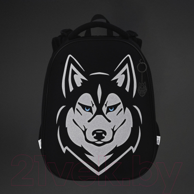 Школьный рюкзак Brauberg Shiny. Husky / 271383