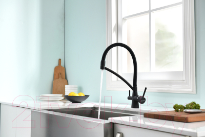 Смеситель Paulmark Siegen Si213111-401TB