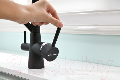 Смеситель Paulmark Siegen Si213111-401TB