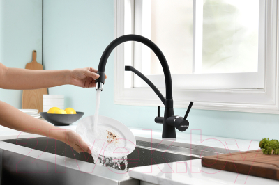 Смеситель Paulmark Siegen Si213111-401TB