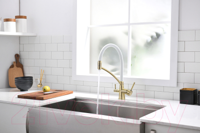 Смеситель Paulmark Siegen Si213111-BRw