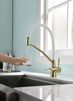 Смеситель Paulmark Siegen Si213111-Gw