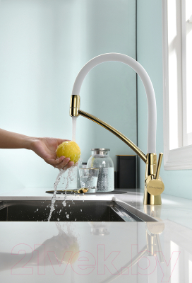 Смеситель Paulmark Siegen Si213111-Gw