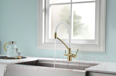 Смеситель Paulmark Siegen Si213111-Gw