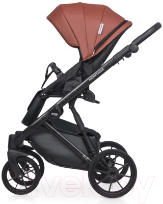 Детская универсальная коляска Riko Montana Ecco 3 в 1