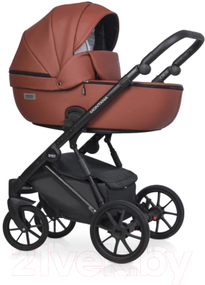 Детская универсальная коляска Riko Montana Ecco 3 в 1