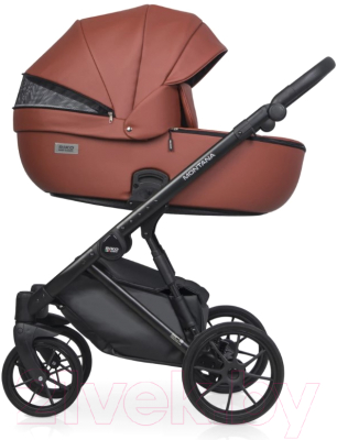 Детская универсальная коляска Riko Montana Ecco 3 в 1