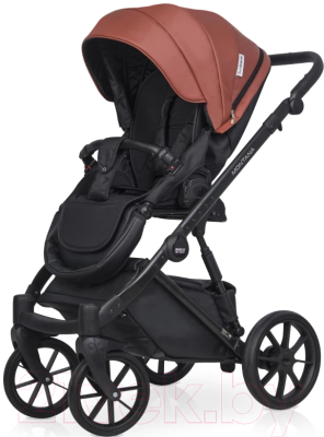 Детская универсальная коляска Riko Montana Ecco 3 в 1