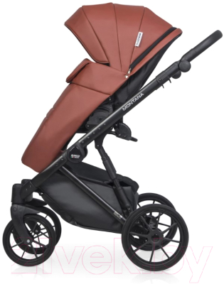 Детская универсальная коляска Riko Montana Ecco 3 в 1