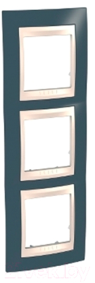 Рамка для выключателей и розеток Schneider Electric MGU6.006V.577 - фото