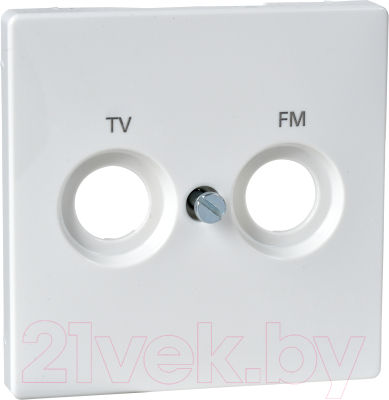 Лицевая панель для розетки Schneider Electric MTN299719 - фото