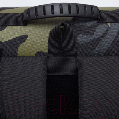 Школьный рюкзак Grizzly Dinosaur / Ram-385-8