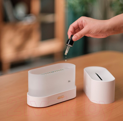 Ультразвуковой увлажнитель воздуха No Brand Flame / 21014.01 (белый)