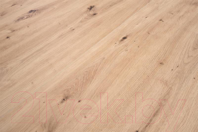 Обеденный стол Halmar Ringo 102-142x102x76