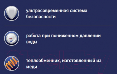 Газовая колонка Oasis Pro WM 10