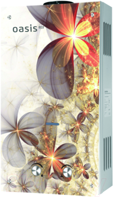 Газовая колонка Oasis Eco B-24 (Д) - фото