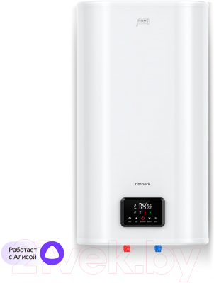 Накопительный водонагреватель Timberk Home Intellect T-WSS100-N72-V-WF