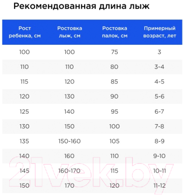 Комплект беговых лыж Nordway TTY5JWP3X1 / 116720-MX