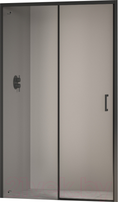 Душевая дверь RGW PA-017-B / 350801712-14 - фото