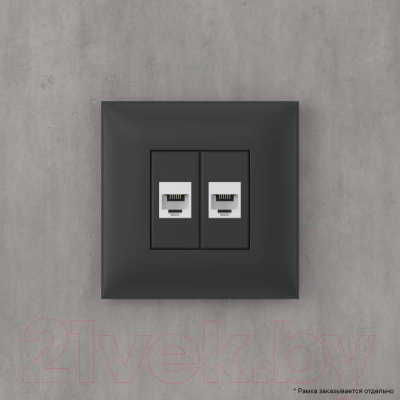 Розетка DKC Avanti RJ-12 / 4412614