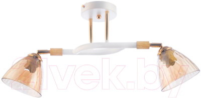 Потолочный светильник Aitin-Pro C1319/2 (белый) - фото