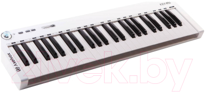 MIDI-клавиатура AxelVox KEY49j