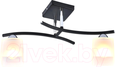 Потолочный светильник Mirastyle MH-3014/2 BK+CR - фото