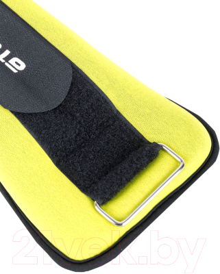 Комплект утяжелителей Atemi AAW013