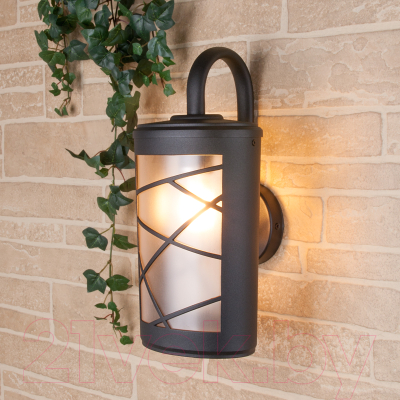 Бра уличное Elektrostandard Premier D GL 1017D