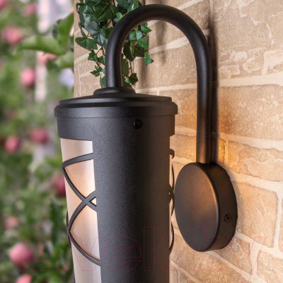 Бра уличное Elektrostandard Premier D GL 1017D