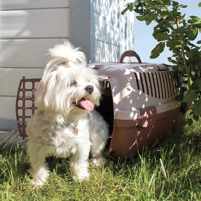 Переноска для животных Stefanplast Gulliver 3 / 97391