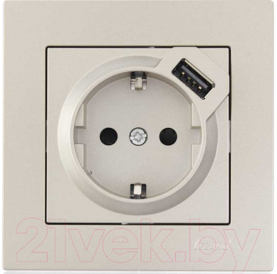 Розетка Lezard Vesna 742-3788-181