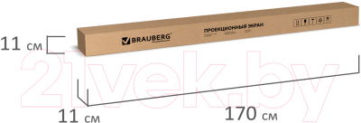 Проекционный экран Brauberg Wall / 236725