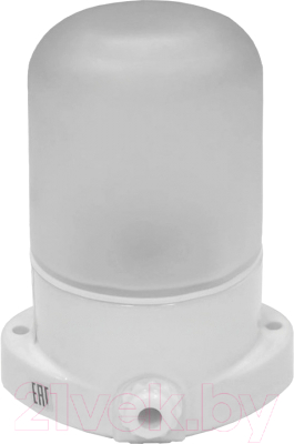 Светильник ЖКХ Везувий Прямой / 400 - фото