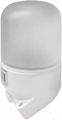 Светильник ЖКХ Везувий Угловой / 401 - фото