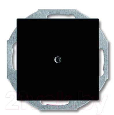 Декоративная заглушка для розетки ABB Basic 55 1715-0-0315 - фото