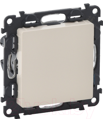 Декоративная заглушка для розетки Legrand Valena Life 755181 - фото