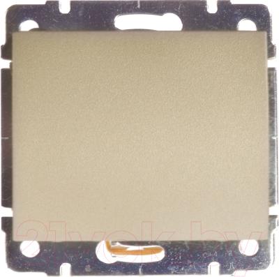 Декоративная заглушка для розетки Legrand Galea Life 771478 - фото