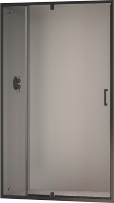 Душевая дверь RGW PA-008-B / 350800890-14 - фото