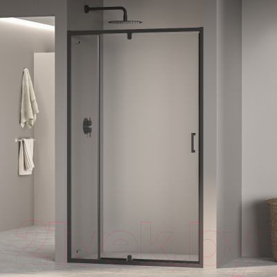 Душевая дверь RGW PA-008-B / 350800890-14