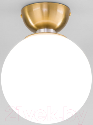 Потолочный светильник Евросвет 30197/1 - фото