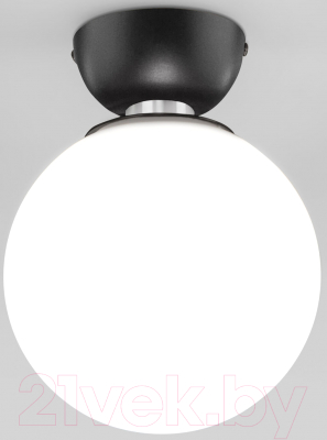 Потолочный светильник Евросвет 30197/1 (черный) - фото