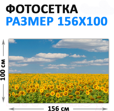 Фотофасад Arthata FotoSetka-100-37