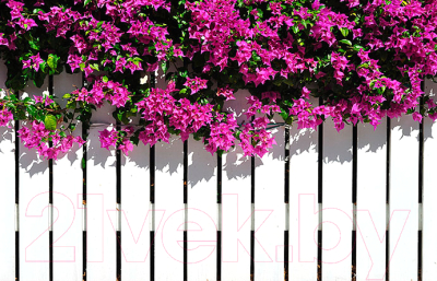 Фотофасад Arthata FotoSetka-100-44 - фото