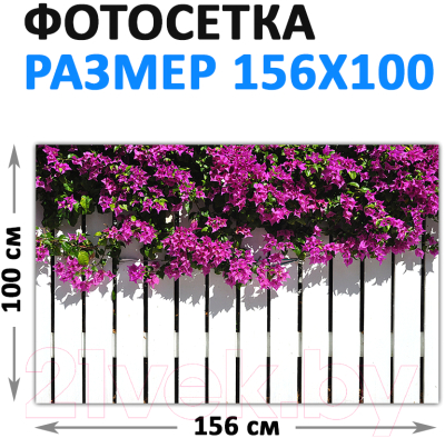 Фотофасад Arthata FotoSetka-100-44