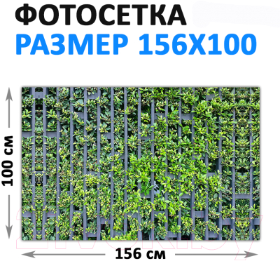 Фотофасад Arthata FotoSetka-100-72