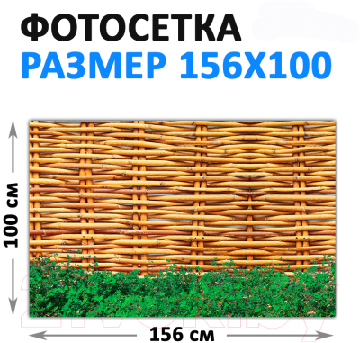 Фотофасад Arthata FotoSetka-100-92