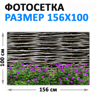 Фотофасад Arthata FotoSetka-100-93