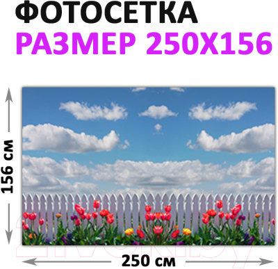 Фотофасад Arthata Небо / FotoSetka-250-50