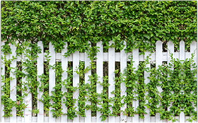 Фотофасад Arthata Штакет / FotoSetka-250-53 - фото